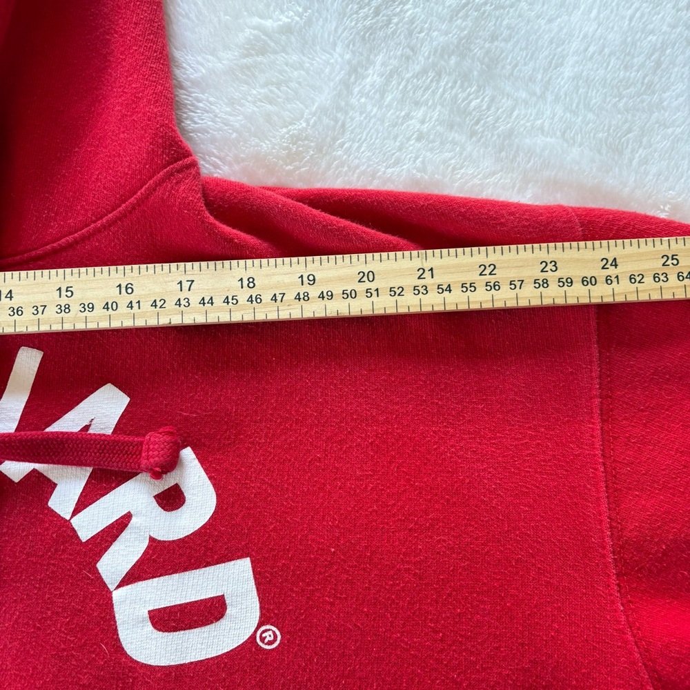 Popularity Products Official Lifeguard San Diego Hoodie Sweatshirt Unisex L Crop - Picture 8 of 12